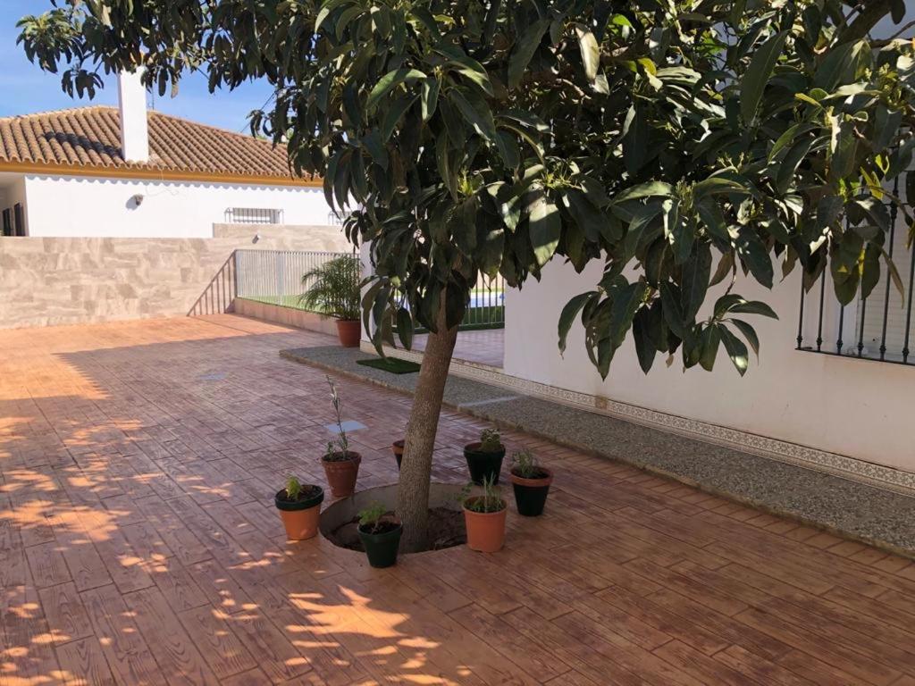 Casas Juani- Chalet Con Piscina Conil de la Frontera Kültér fotó